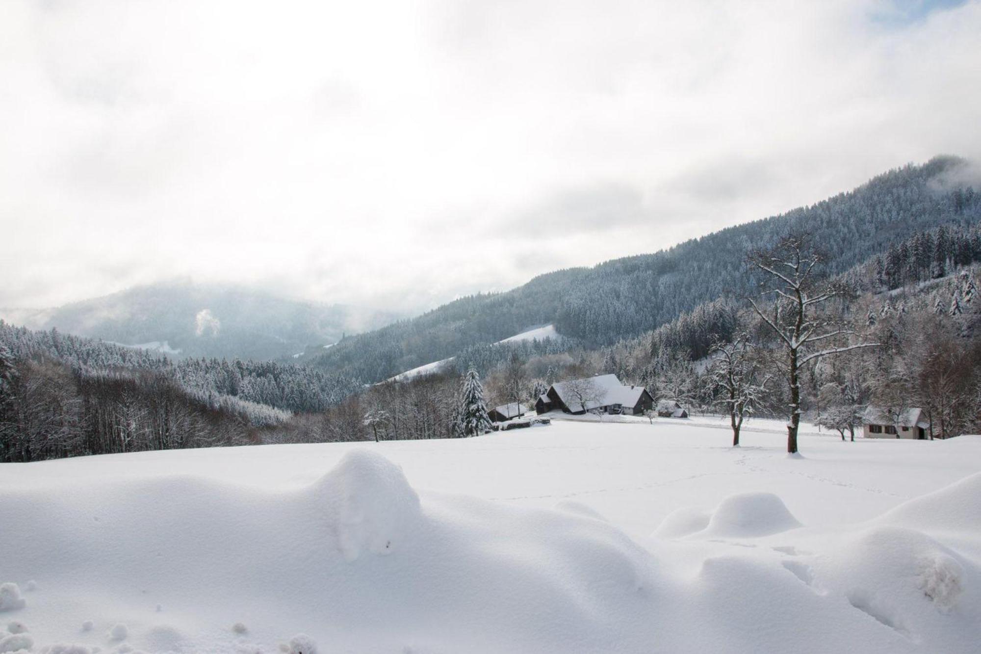 Ferienwohnung Am Kapellenberg - Am Rande Des Nationalparks Schwarzwald Bad Peterstal-Griesbach Kültér fotó