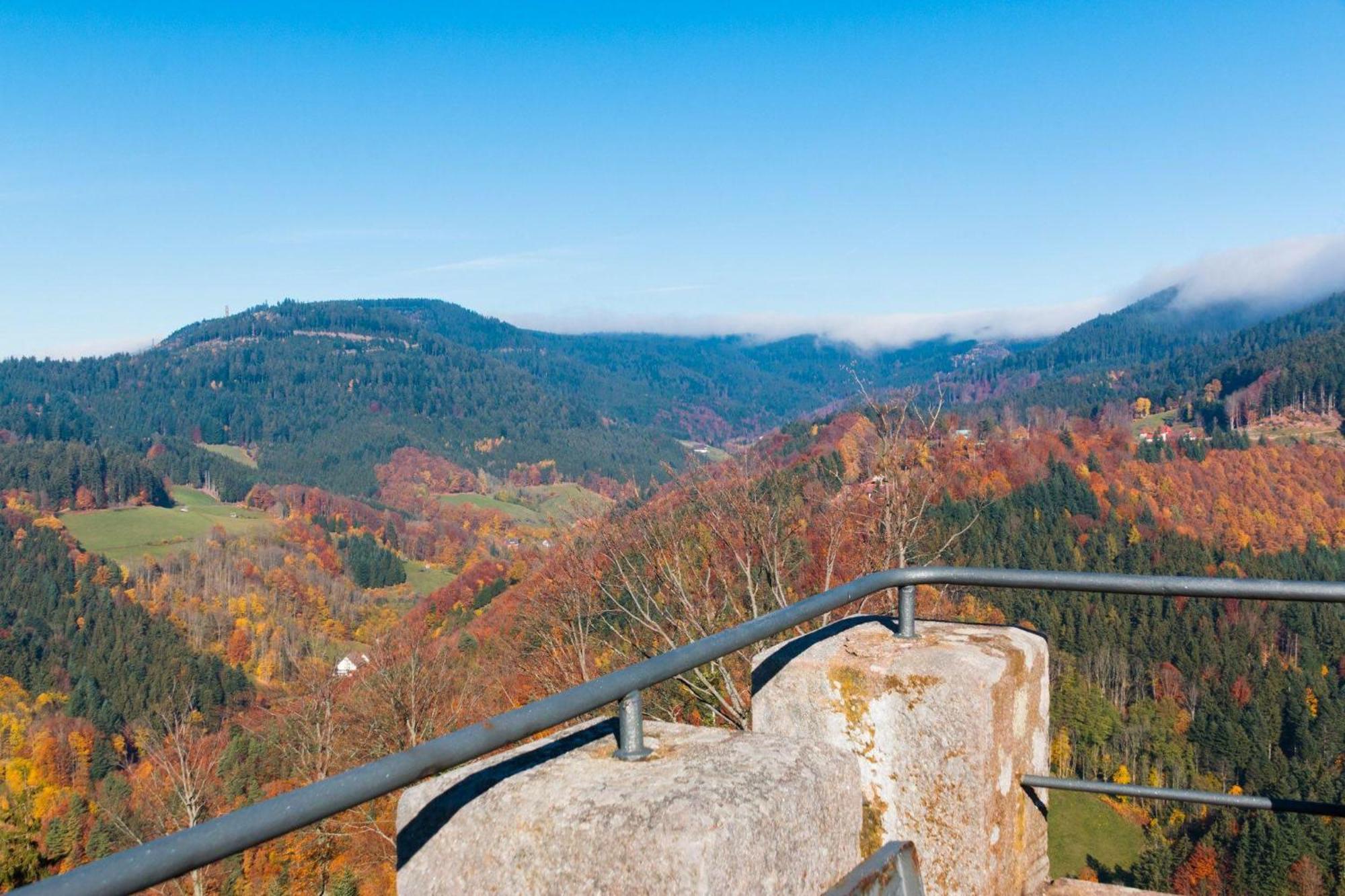 Ferienwohnung Am Kapellenberg - Am Rande Des Nationalparks Schwarzwald Bad Peterstal-Griesbach Kültér fotó