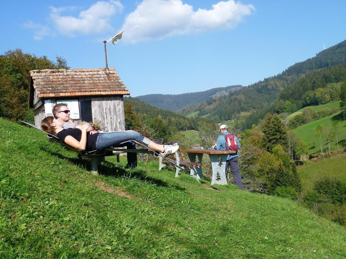 Ferienwohnung Am Kapellenberg - Am Rande Des Nationalparks Schwarzwald Bad Peterstal-Griesbach Kültér fotó