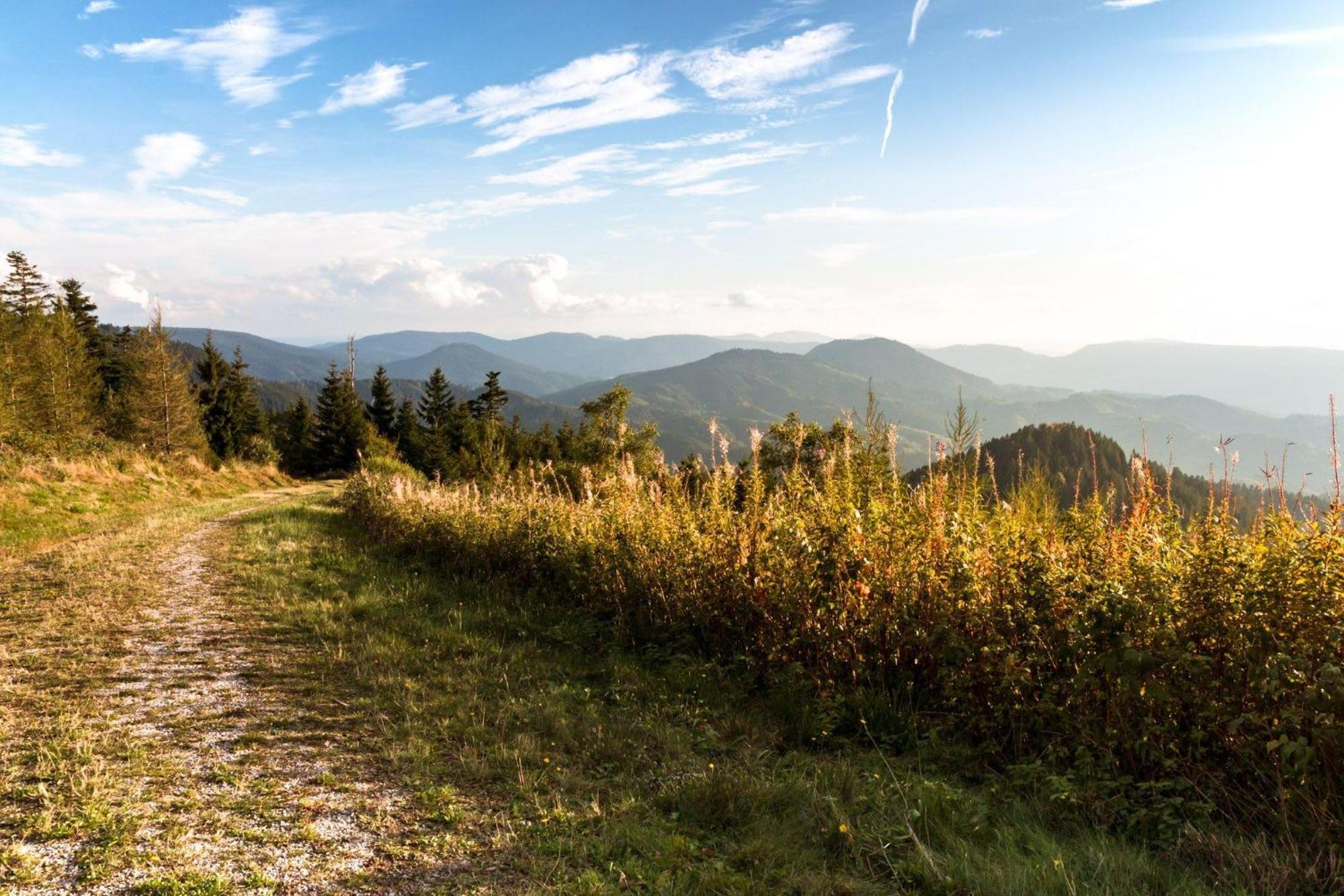 Ferienwohnung Am Kapellenberg - Am Rande Des Nationalparks Schwarzwald Bad Peterstal-Griesbach Kültér fotó